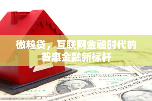 宁海微粒贷，互联网金融时代的普惠金融新标杆