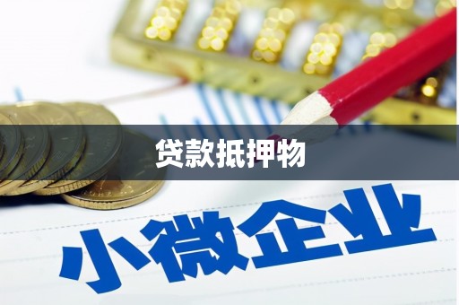 宁海贷款抵押物