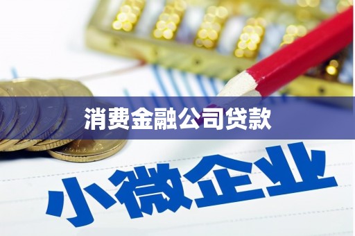 宁海消费金融公司贷款