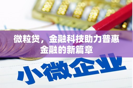 宁海微粒贷，金融科技助力普惠金融的新篇章