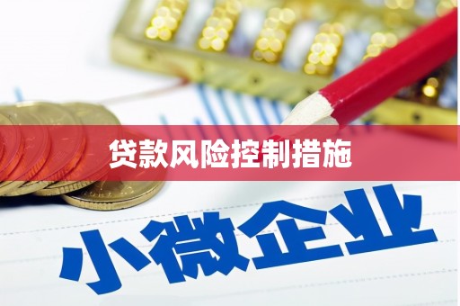 宁海贷款风险控制措施