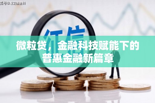 宁海微粒贷，金融科技赋能下的普惠金融新篇章