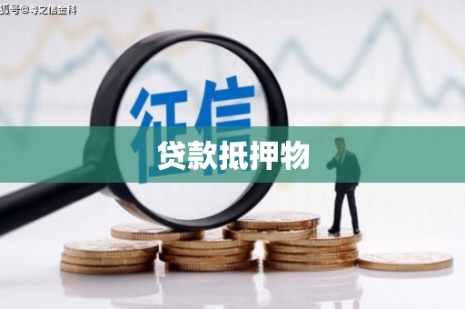 宁海贷款抵押物
