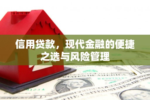 宁海信用贷款，现代金融的便捷之选与风险管理