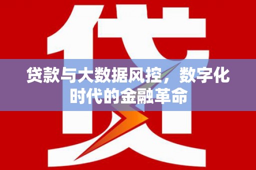 宁海贷款与大数据风控，数字化时代的金融革命