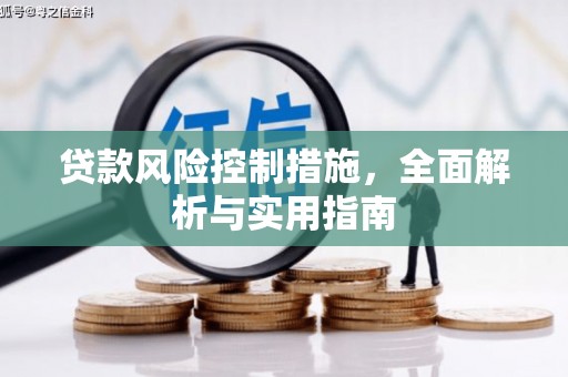 宁海贷款风险控制措施，全面解析与实用指南