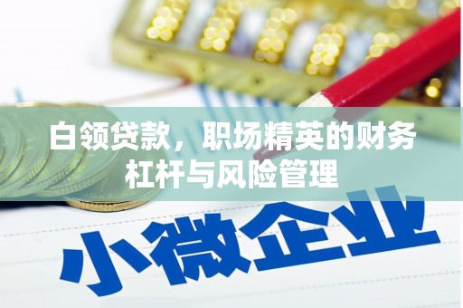宁海白领贷款，职场精英的财务杠杆与风险管理