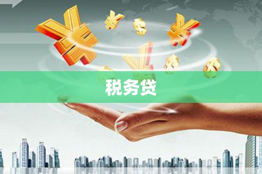 宁海税务贷