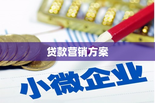宁海贷款营销方案