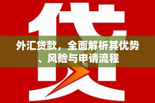 宁海外汇贷款，全面解析其优势、风险与申请流程