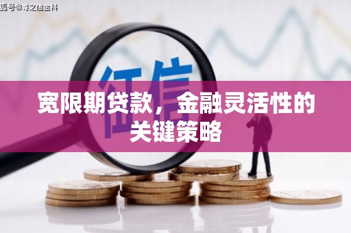 宁海宽限期贷款，金融灵活性的关键策略