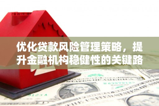 宁海优化贷款风险管理策略，提升金融机构稳健性的关键路径