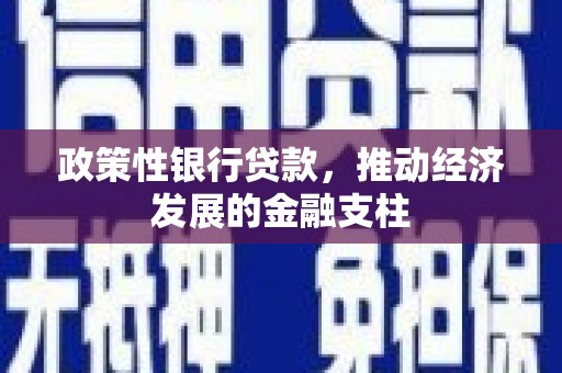 宁海政策性银行贷款，推动经济发展的金融支柱
