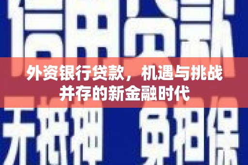 宁海外资银行贷款，机遇与挑战并存的新金融时代