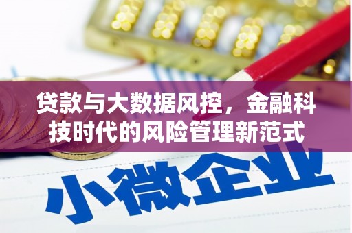 宁海贷款与大数据风控，金融科技时代的风险管理新范式