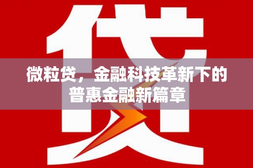 宁海微粒贷，金融科技革新下的普惠金融新篇章