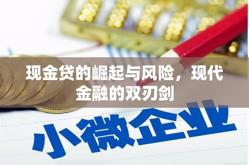 宁海现金贷的崛起与风险，现代金融的双刃剑