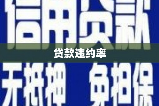 宁海贷款违约率