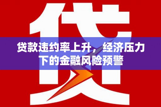 宁海贷款违约率上升，经济压力下的金融风险预警