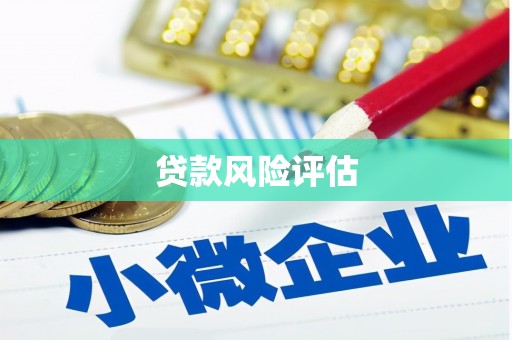 宁海贷款风险评估