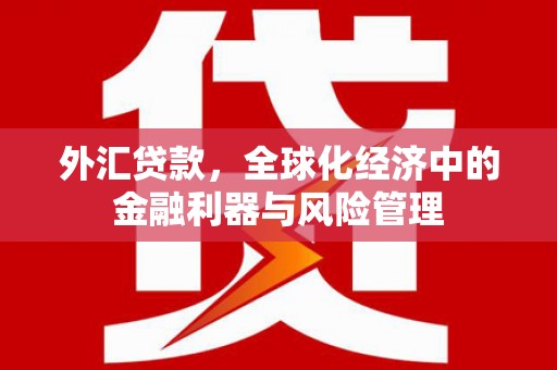 宁海外汇贷款，全球化经济中的金融利器与风险管理