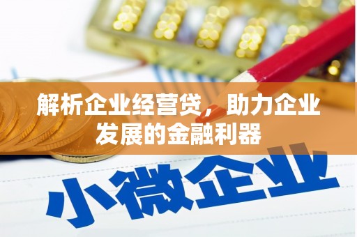 宁海解析企业经营贷，助力企业发展的金融利器