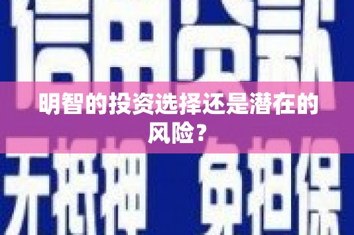宁海明智的投资选择还是潜在的风险？
