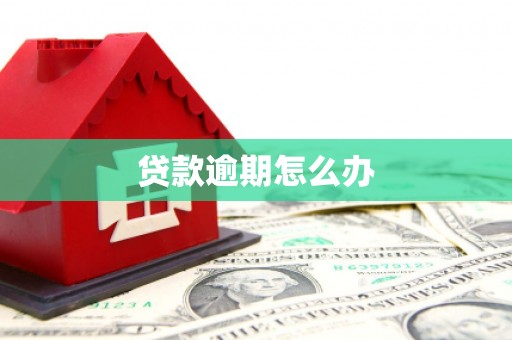 宁海贷款逾期怎么办