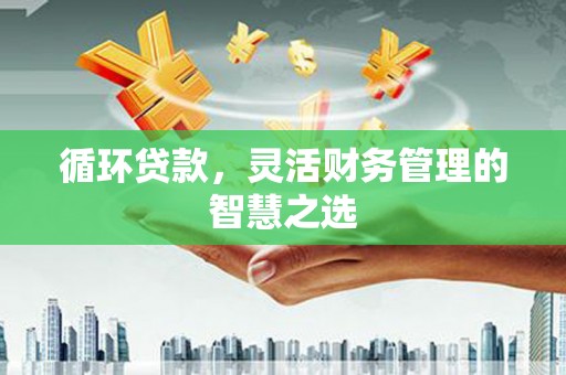 宁海循环贷款，灵活财务管理的智慧之选