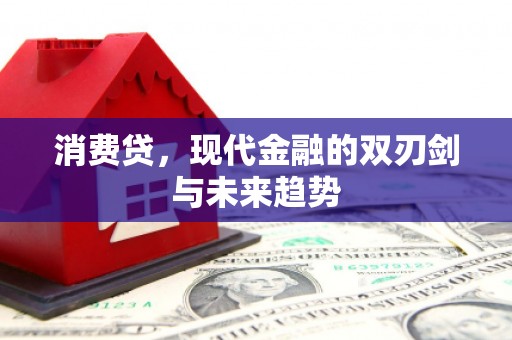 宁海消费贷，现代金融的双刃剑与未来趋势