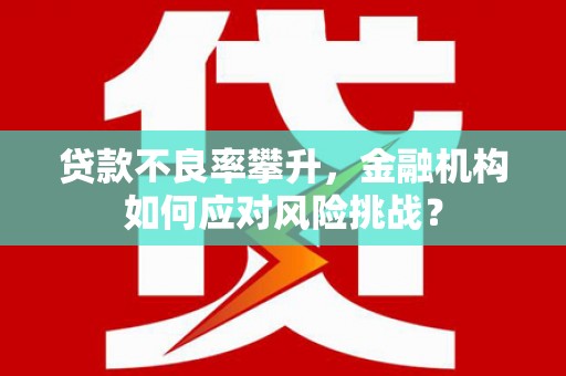 宁海贷款不良率攀升，金融机构如何应对风险挑战？