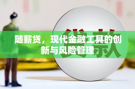宁海随薪贷，现代金融工具的创新与风险管理
