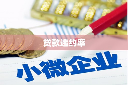 宁海贷款违约率