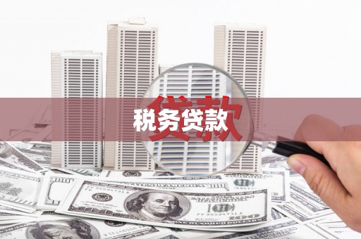宁海税务贷款