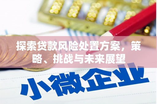宁海探索贷款风险处置方案，策略、挑战与未来展望