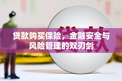 宁海贷款购买保险，金融安全与风险管理的双刃剑