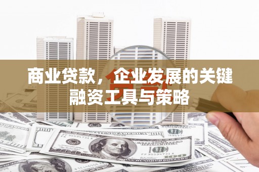 宁海商业贷款，企业发展的关键融资工具与策略