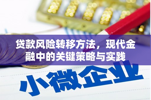 宁海贷款风险转移方法，现代金融中的关键策略与实践