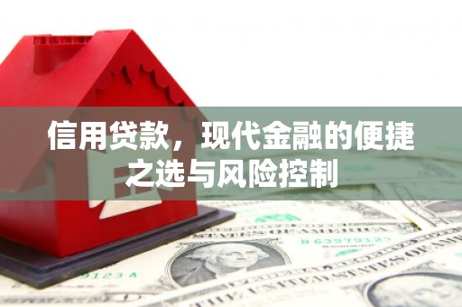 宁海信用贷款，现代金融的便捷之选与风险控制