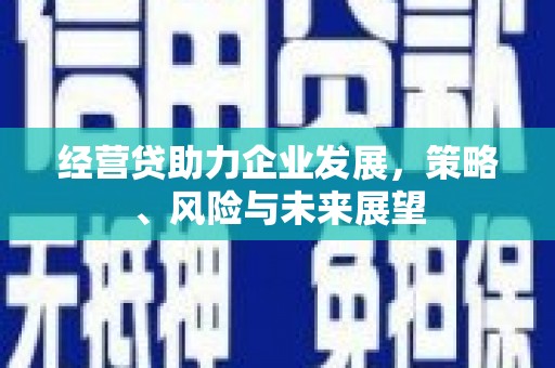 宁海经营贷助力企业发展，策略、风险与未来展望