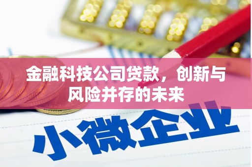 宁海金融科技公司贷款，创新与风险并存的未来