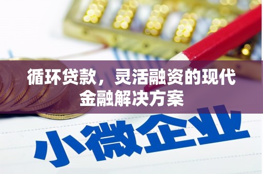 宁海循环贷款，灵活融资的现代金融解决方案