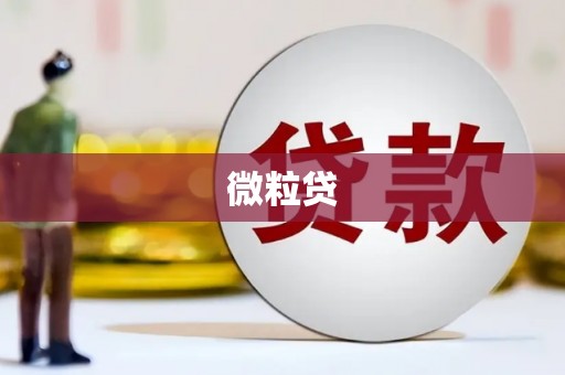 宁海微粒贷