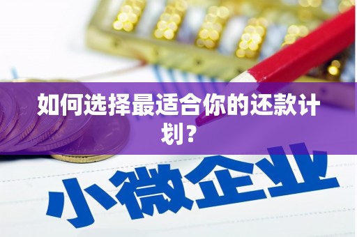 宁海如何选择最适合你的还款计划？