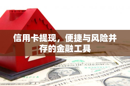 宁海信用卡提现，便捷与风险并存的金融工具