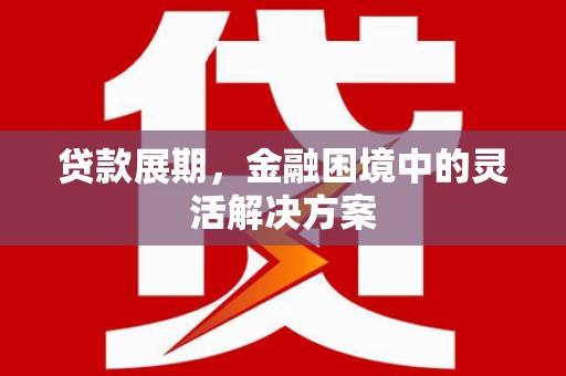 宁海贷款展期，金融困境中的灵活解决方案