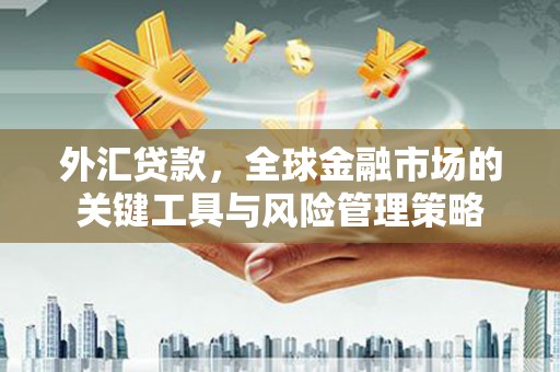 宁海外汇贷款，全球金融市场的关键工具与风险管理策略