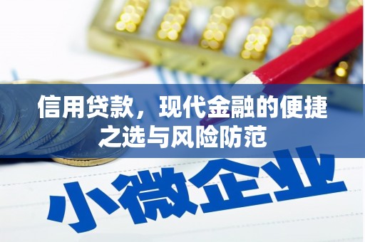 宁海信用贷款，现代金融的便捷之选与风险防范