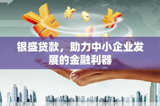 宁海银盛贷款，助力中小企业发展的金融利器