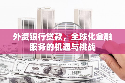 宁海外资银行贷款，全球化金融服务的机遇与挑战
